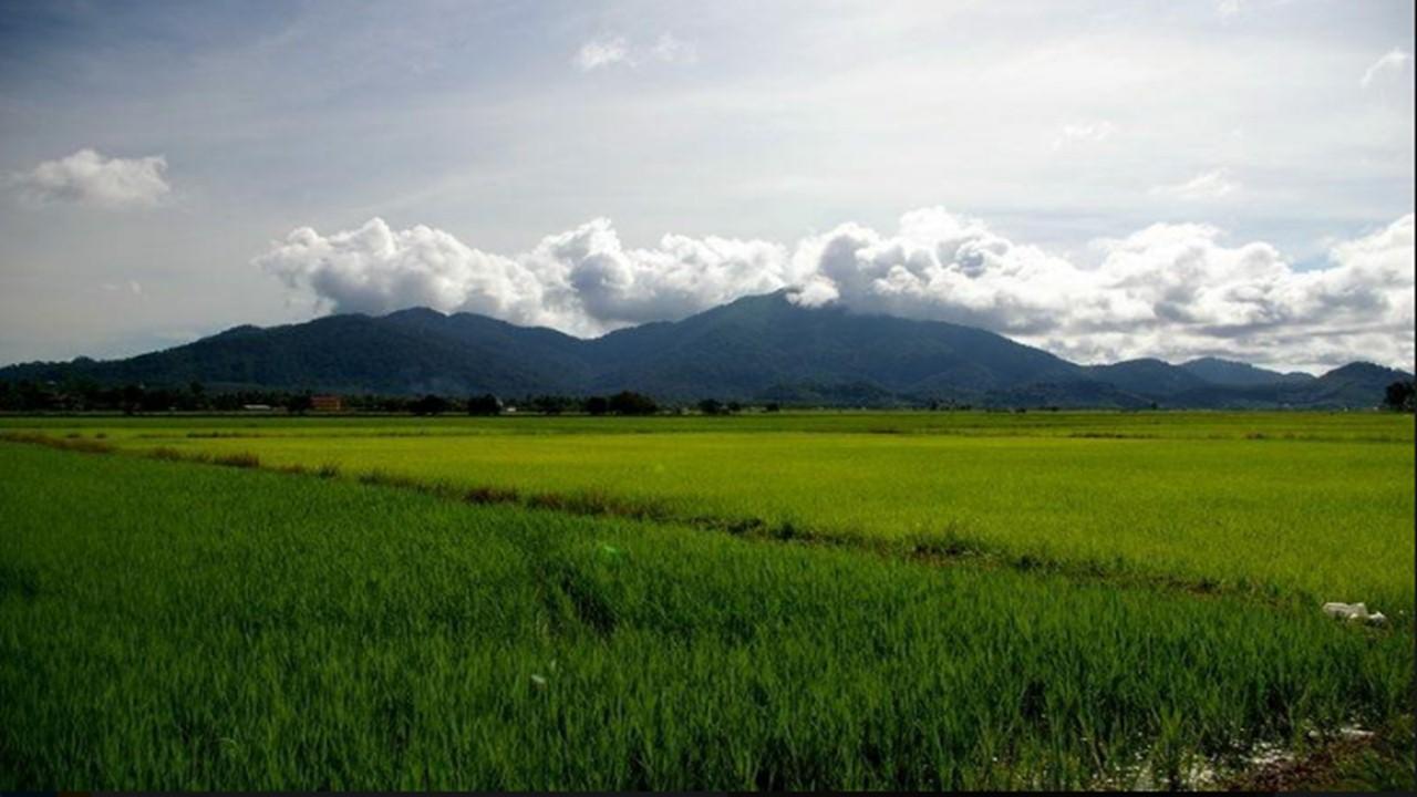 Barakah Homestay Alor Setar Zewnętrze zdjęcie